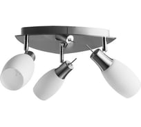 Потолочный светильник Arte Lamp A4590PL-3SS