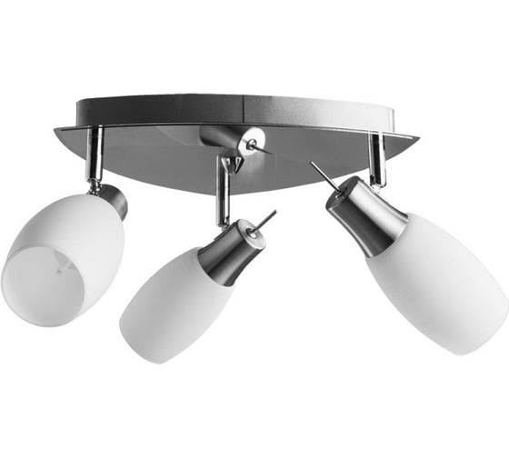 Потолочный светильник Arte Lamp A4590PL-3SS