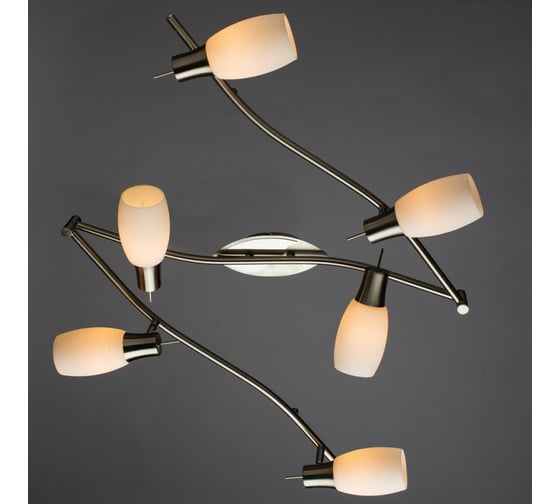 Потолочный светильник Arte Lamp A4590PL-6SS