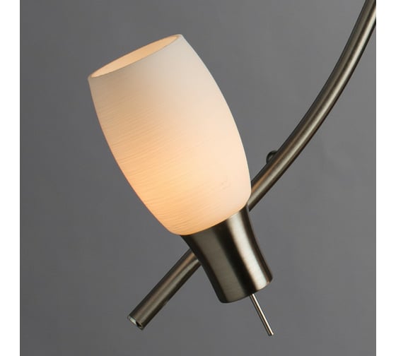 Потолочный светильник Arte Lamp A4590PL-6SS