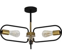 Светильник потолочный ЭЛЕТЕХ Солей 131 черн.зол. НПБ 01-3x60-229 Е27 1005405392