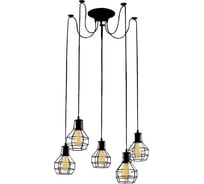 Подвесной светильник Arte Lamp A1109SP-5BK