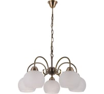 Подвесной светильник Arte Lamp A9317LM-5AB