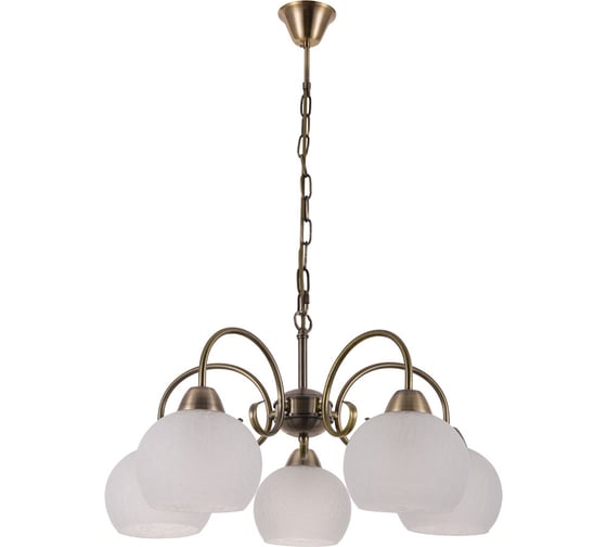 Подвесной светильник Arte Lamp A9317LM-5AB 1