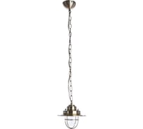 Подвесной светильник Arte Lamp A4579SP-1AB