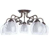 Потолочный светильник Arte Lamp A7062PL-5AB