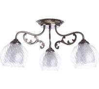 Потолочный светильник Arte Lamp A7062PL-3AB