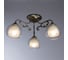 Потолочный светильник Arte Lamp A7062PL-3AB 4