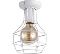 Потолочный светильник Arte Lamp A9182PL-1WH