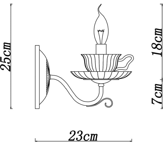 Настенный светильник Arte Lamp A1704AP-1CC