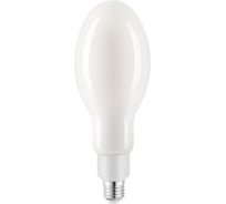 Светодиодная лампа General Lighting Systems Филамент высокомощный Е27 55Вт 5800Лм 6500К Холодный белый свет Груша GLDEN-ED90M-55-230-E27-6500 661638