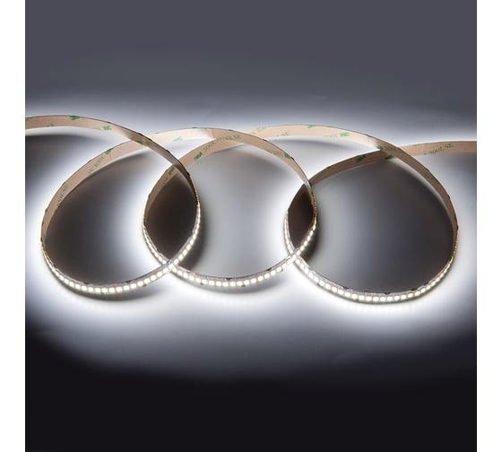Лента светодиодная General Lighting Systems GLS-2835-240-19.2-12-IP20-6 катушка 50м 501480 1