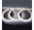 Лента светодиодная General Lighting Systems GLS-2835-240-19.2-12-IP20-6, 50 метров, 19,2Вт, 12В, SMD2835, 10мм, 240 диодов/м,16 Лм/м, IP20, 6500К - холодный белый 501480 1