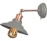 Настенный светильник Arte Lamp A5067AP-1GY 1