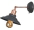 Настенный светильник Arte Lamp A5067AP-1BK 1