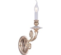 Настенный светильник Arte Lamp A7024AP-1WG