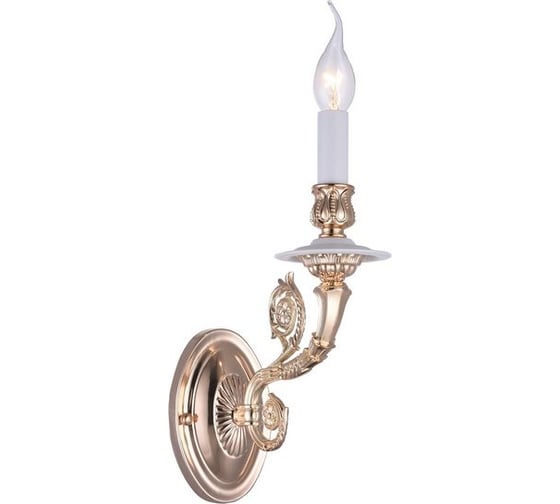 Настенный светильник Arte Lamp A7024AP-1WG 1