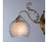 Настенный светильник Arte Lamp A7062AP-1WG 2