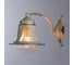 Настенный светильник Arte Lamp A7022AP-1WG 2
