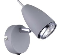 Настенный светильник Arte Lamp A1966AP-1GY
