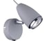 Настенный светильник Arte Lamp A1966AP-1GY 1