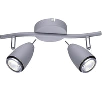 Настенный светильник Arte Lamp A1966AP-2GY