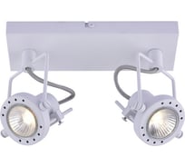 Настенный светильник Arte Lamp A4300AP-2WH