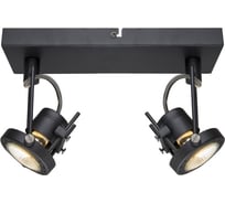 Настенный светильник Arte Lamp A4300AP-2BK