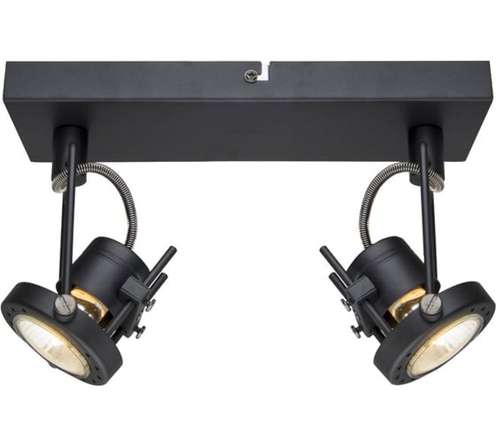Настенный светильник Arte Lamp A4300AP-2BK 1