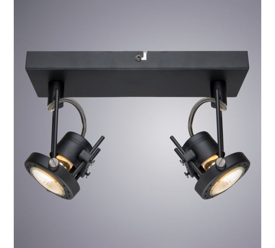 Настенный светильник Arte Lamp A4300AP-2BK