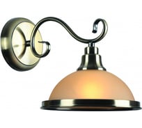 Настенный светильник Arte Lamp A6905AP-1AB