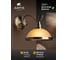 Настенный светильник Arte Lamp A6905AP-1AB 6