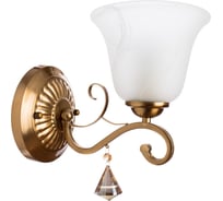 Настенный светильник Arte Lamp A8391AP-1PB