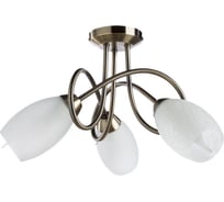 Потолочный светильник Arte Lamp A8616PL-3AB