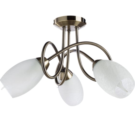 Потолочный светильник Arte Lamp A8616PL-3AB 1