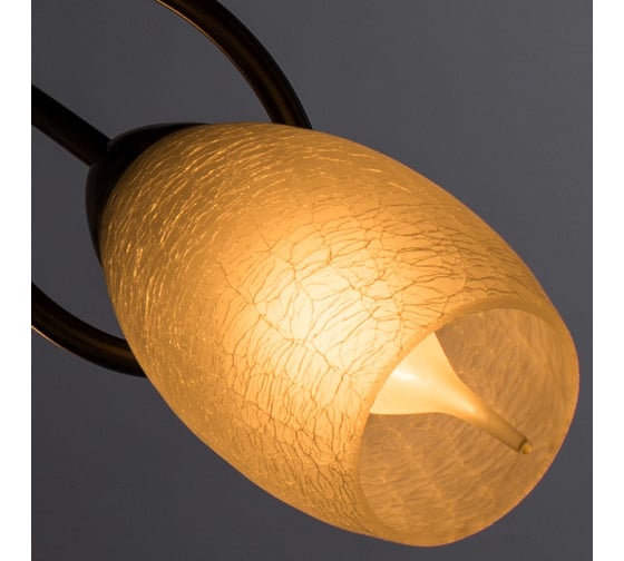 Потолочный светильник Arte Lamp A8616PL-3AB