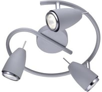 Потолочный светильник Arte Lamp A1966PL-3GY