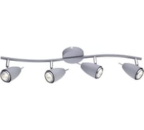 Потолочный светильник Arte Lamp A1966PL-4GY