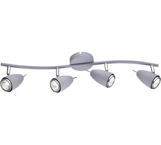 Потолочный светильник Arte Lamp A1966PL-4GY
