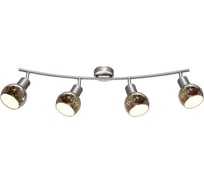 Потолочный светильник Arte Lamp A6125PL-4SS