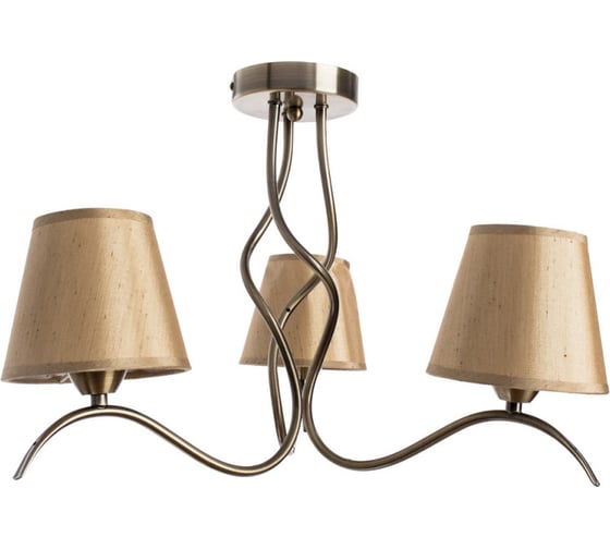 Потолочный светильник Arte Lamp A6569PL-3AB 1