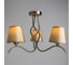Потолочный светильник Arte Lamp A6569PL-3AB 2