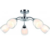 Потолочный светильник Arte Lamp A7201PL-5CC