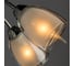 Потолочный светильник Arte Lamp A7201PL-7CC 3