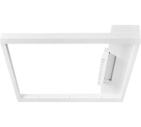 Потолочный светильник Freya Frame Белый FR6084CL-L82W