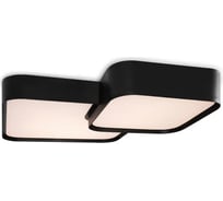 Потолочный светильник Freya Square Черный FR6095CL-L84B