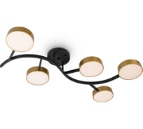 Потолочный светильник Freya Tibo Черный с Золотом FR6048CL-L10GB