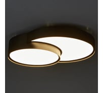 Потолочный светильник Freya Items Черный FR6094CL-L72B