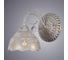 Настенный светильник Arte Lamp A9106AP-1WG 2