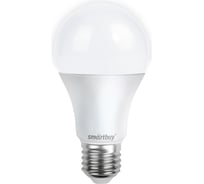 Светодиодная лампа Smartbuy LED A70-30W/6000/E27 SBL-A70-30-60K-E27